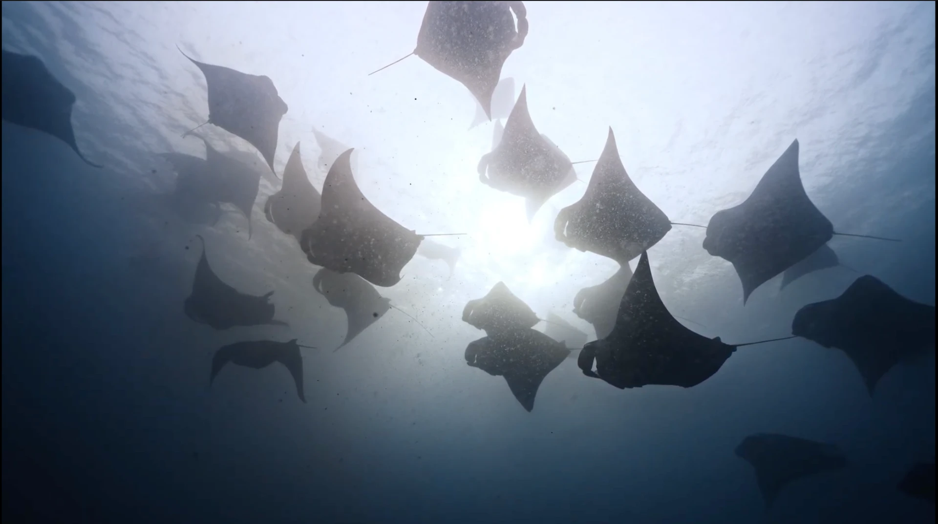 Maldives expedition