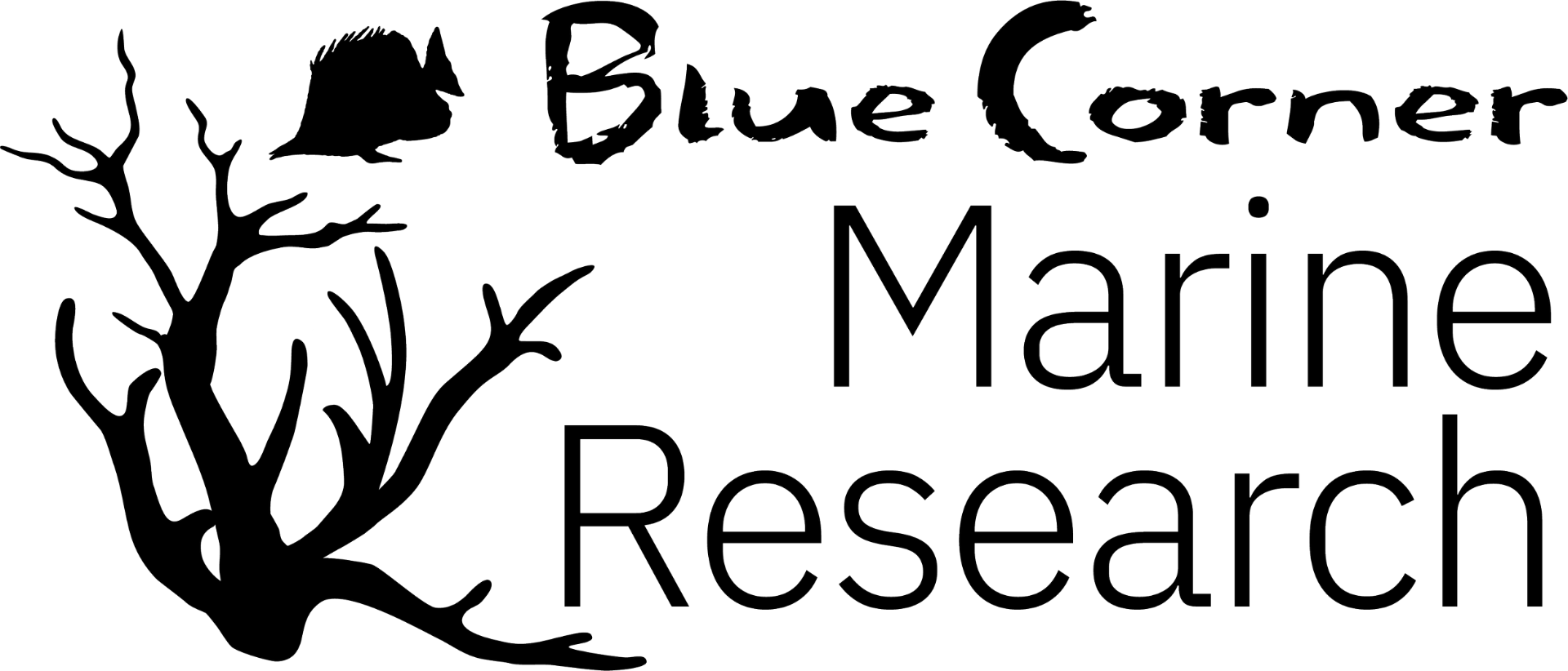 Blue Corner Marine Research