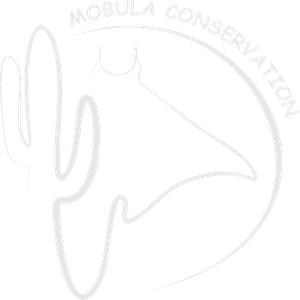 Mobula Conservation logo
