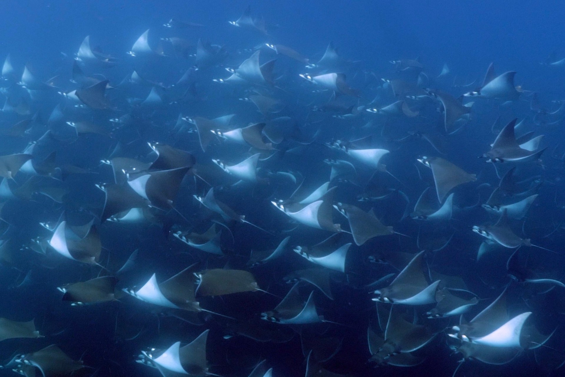 Baja California Sur, Mexico